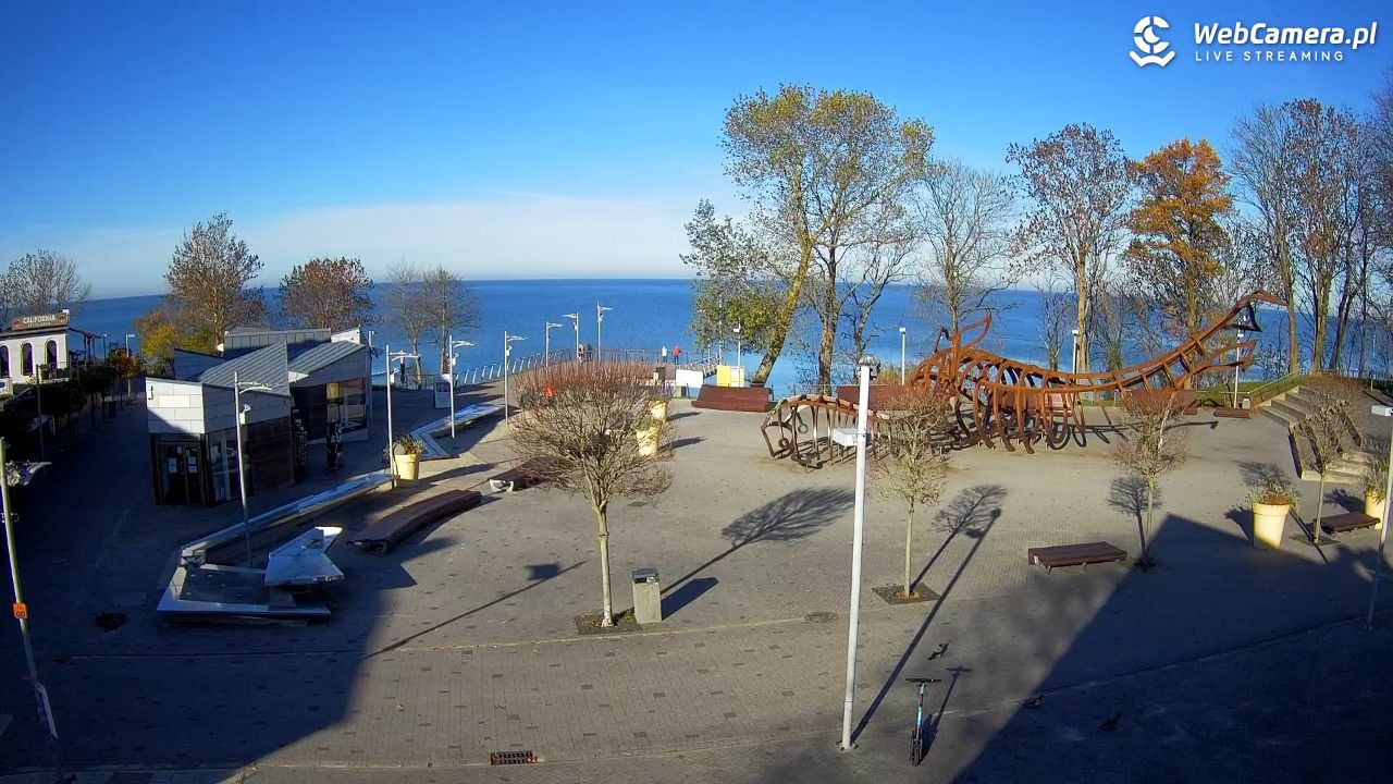 REWAL - widok na deptak - 06 listopad 2025, 11:09