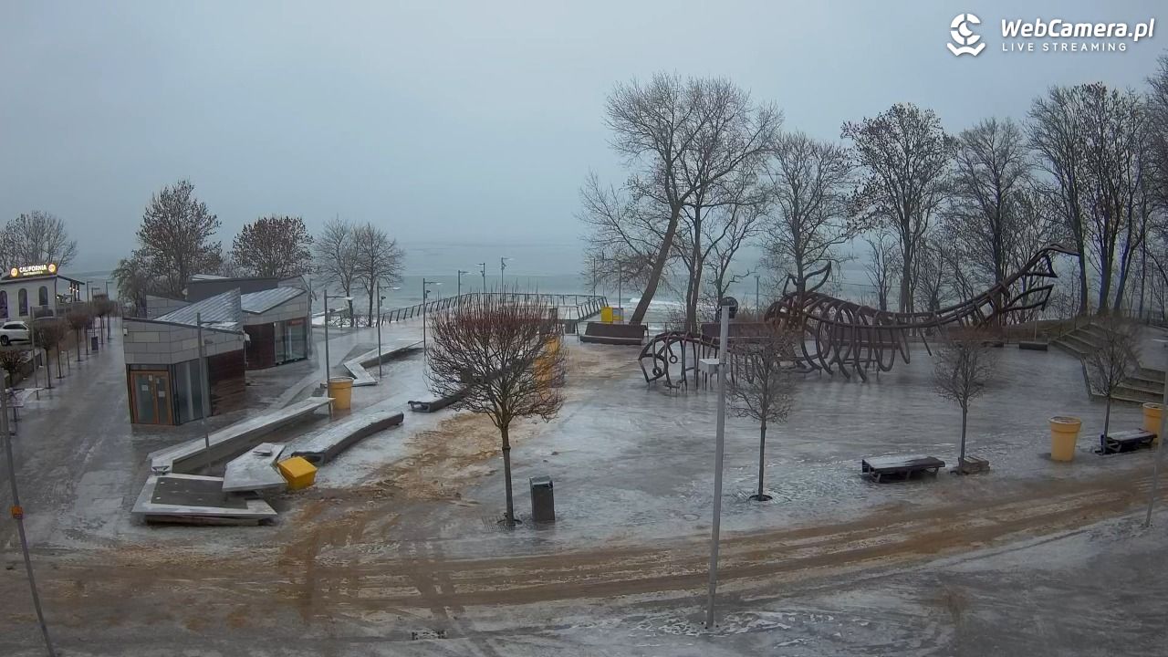 REWAL - widok na deptak - 06 luty 2026, 16:33