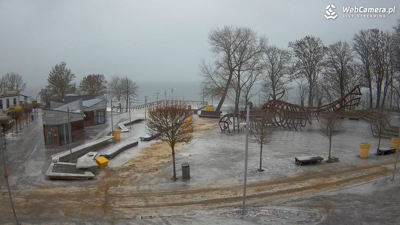 REWAL - widok na deptak - 07 luty 2026, 09:41