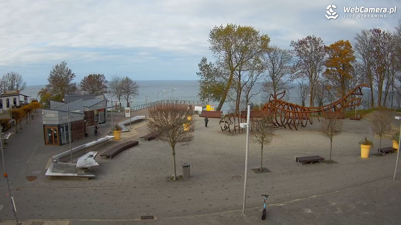 REWAL - widok na deptak - 04 listopad 2025, 13:21