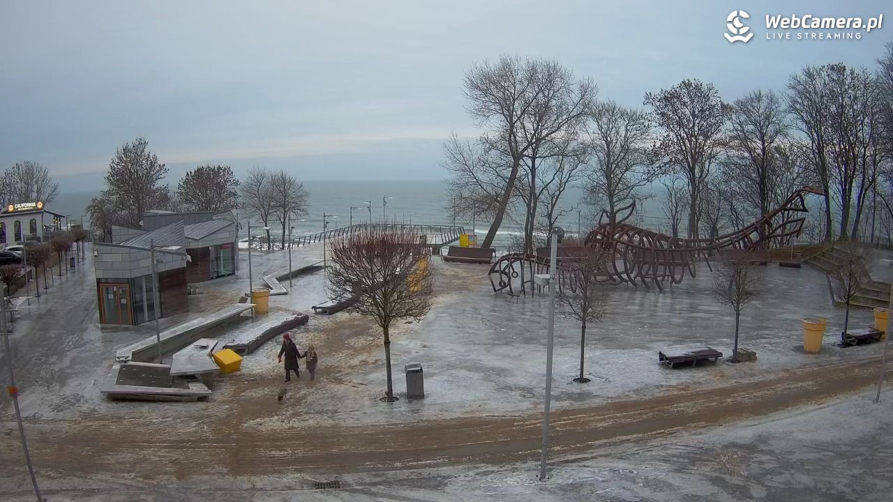 REWAL - widok na deptak - 07 luty 2026, 16:33