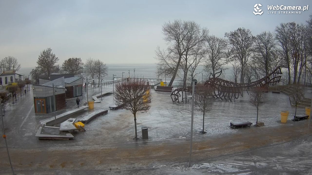 REWAL - widok na deptak - 06 luty 2026, 11:14