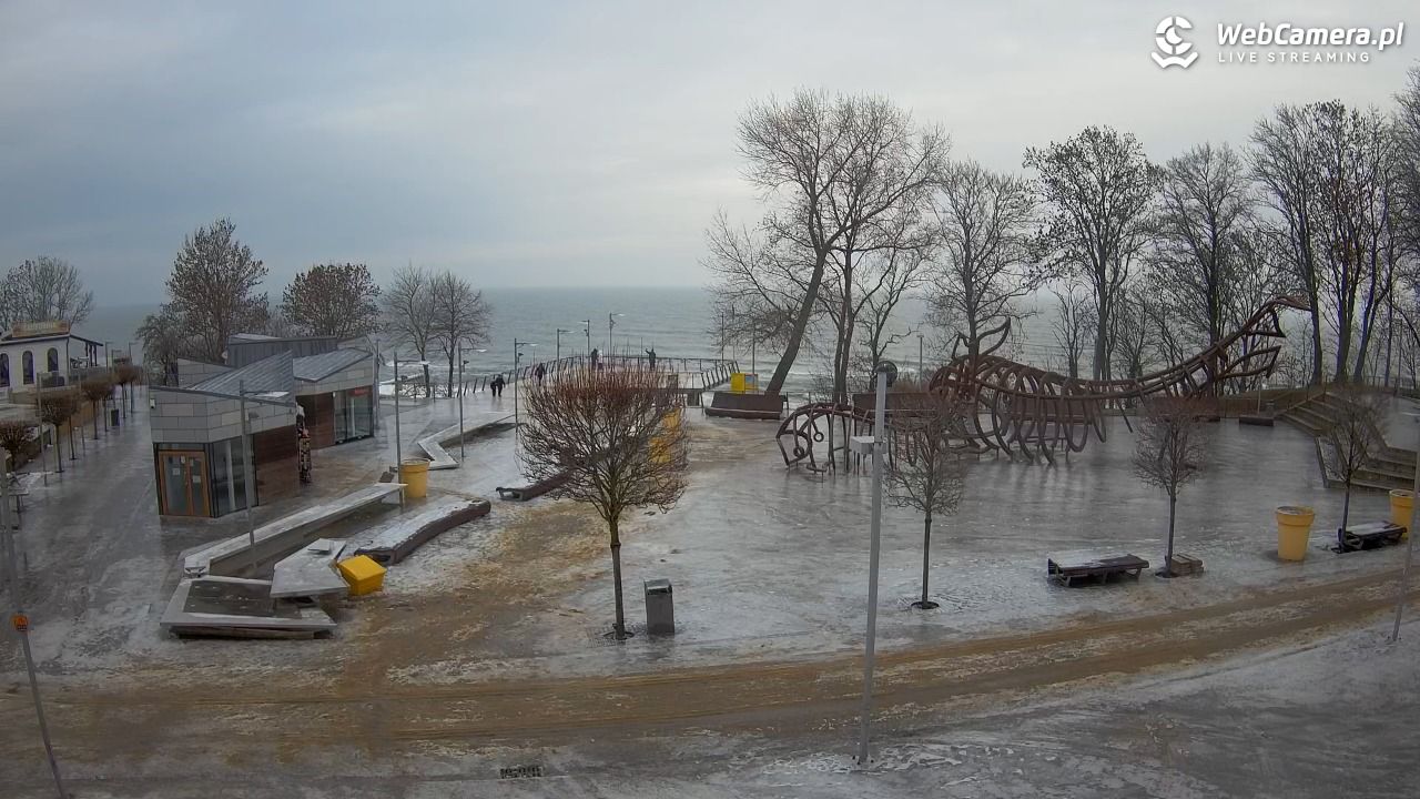 REWAL - widok na deptak - 07 luty 2026, 13:41