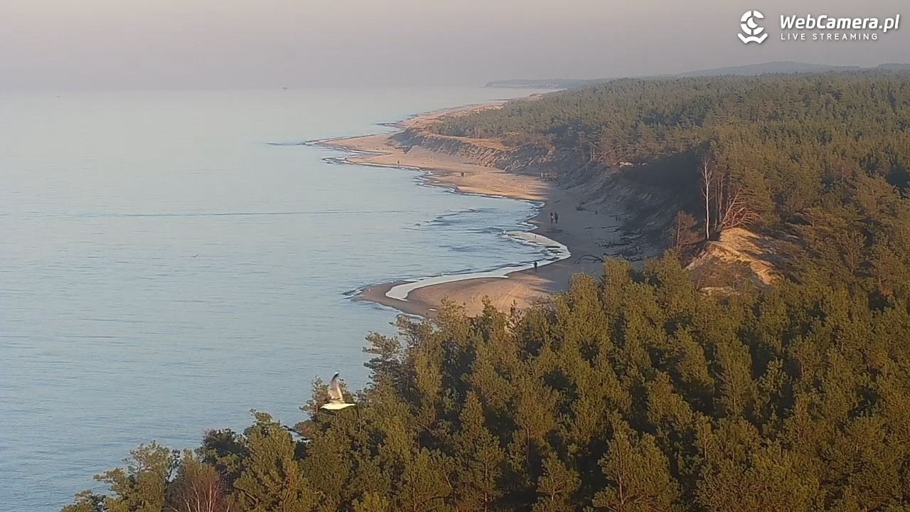ROWY - widok na plażę i morze - 08 listopad 2025, 15:09