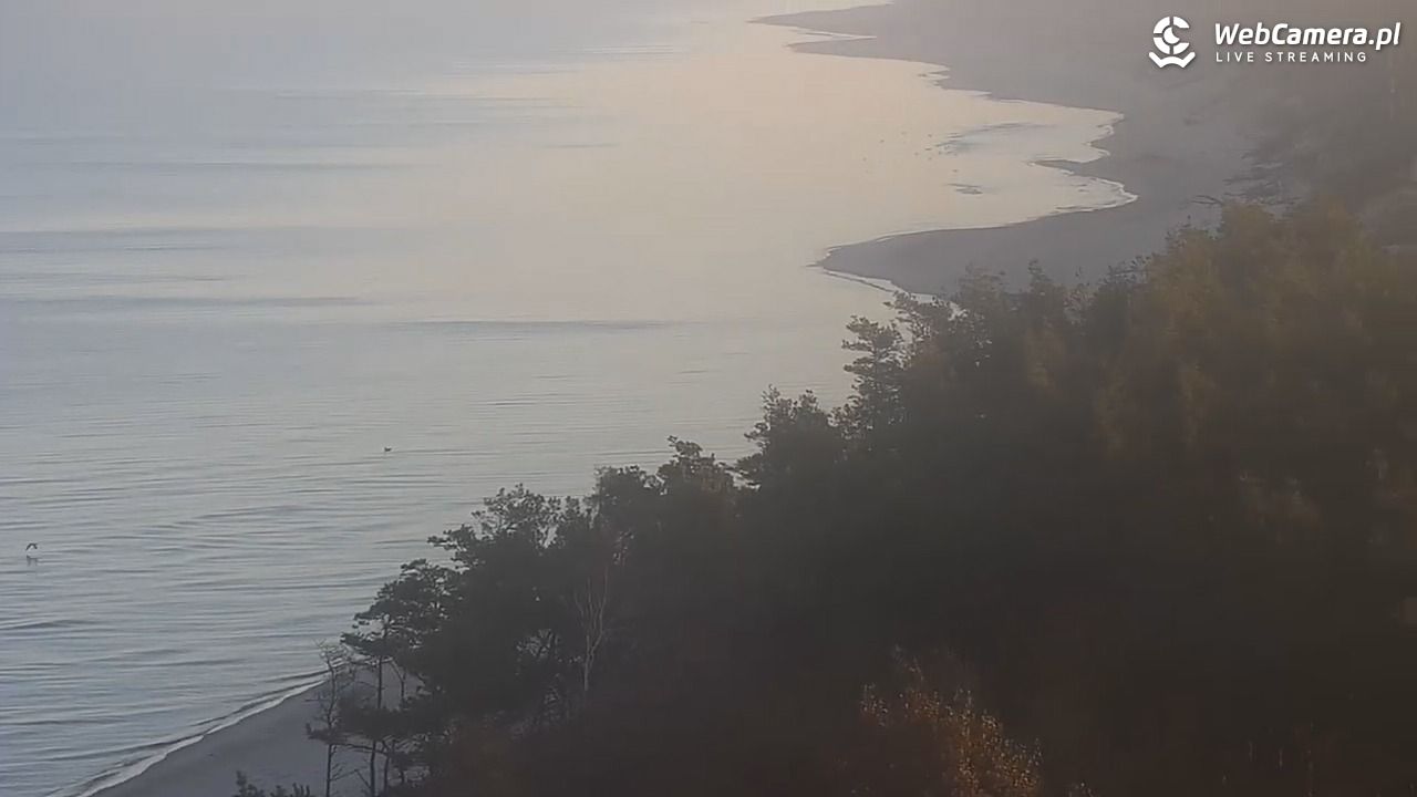 ROWY - widok na plażę i morze - 07 listopad 2025, 07:42