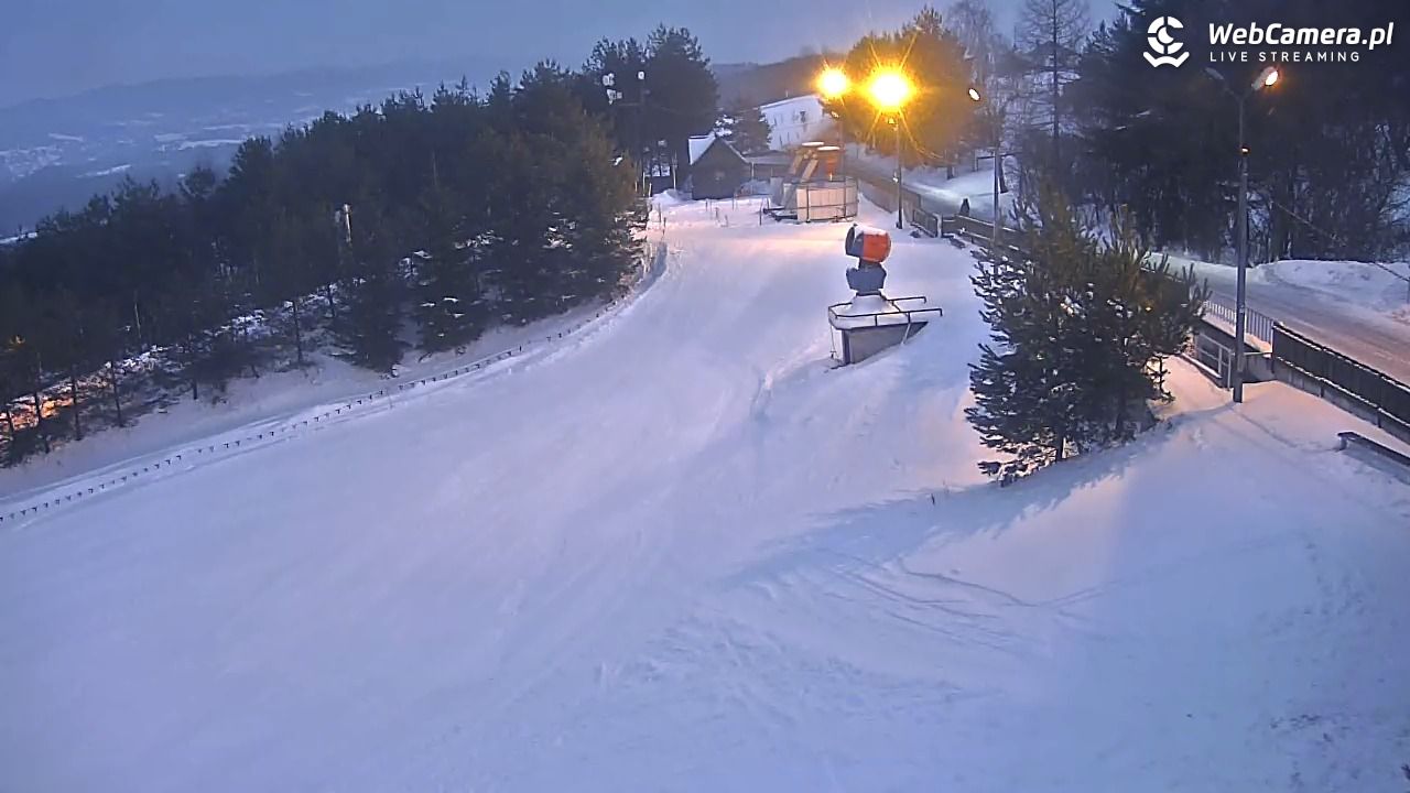 Gogołów Pod Dziedzicem - widok na stok - 15 styczeń 2026, 16:19