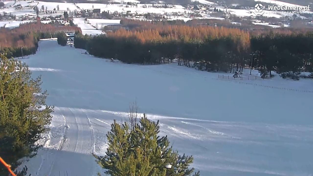 Gogołów Pod Dziedzicem - widok na stok - 16 styczeń 2026, 09:06