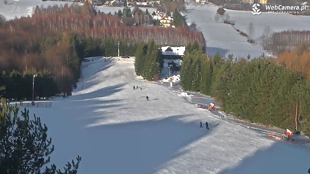 Gogołów Pod Dziedzicem - widok na stok - 16 styczeń 2026, 13:45