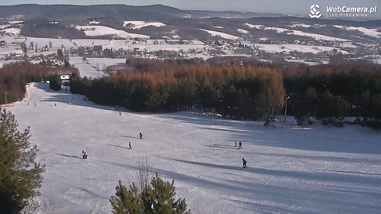 Gogołów Pod Dziedzicem - widok na stok - 17 styczeń 2026, 10:54
