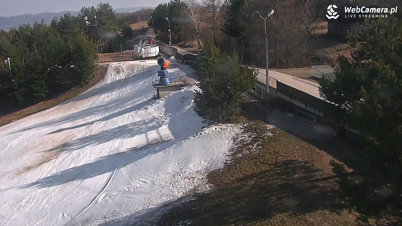 Gogołów Pod Dziedzicem - widok na stok - 01 marzec 2026, 13:10