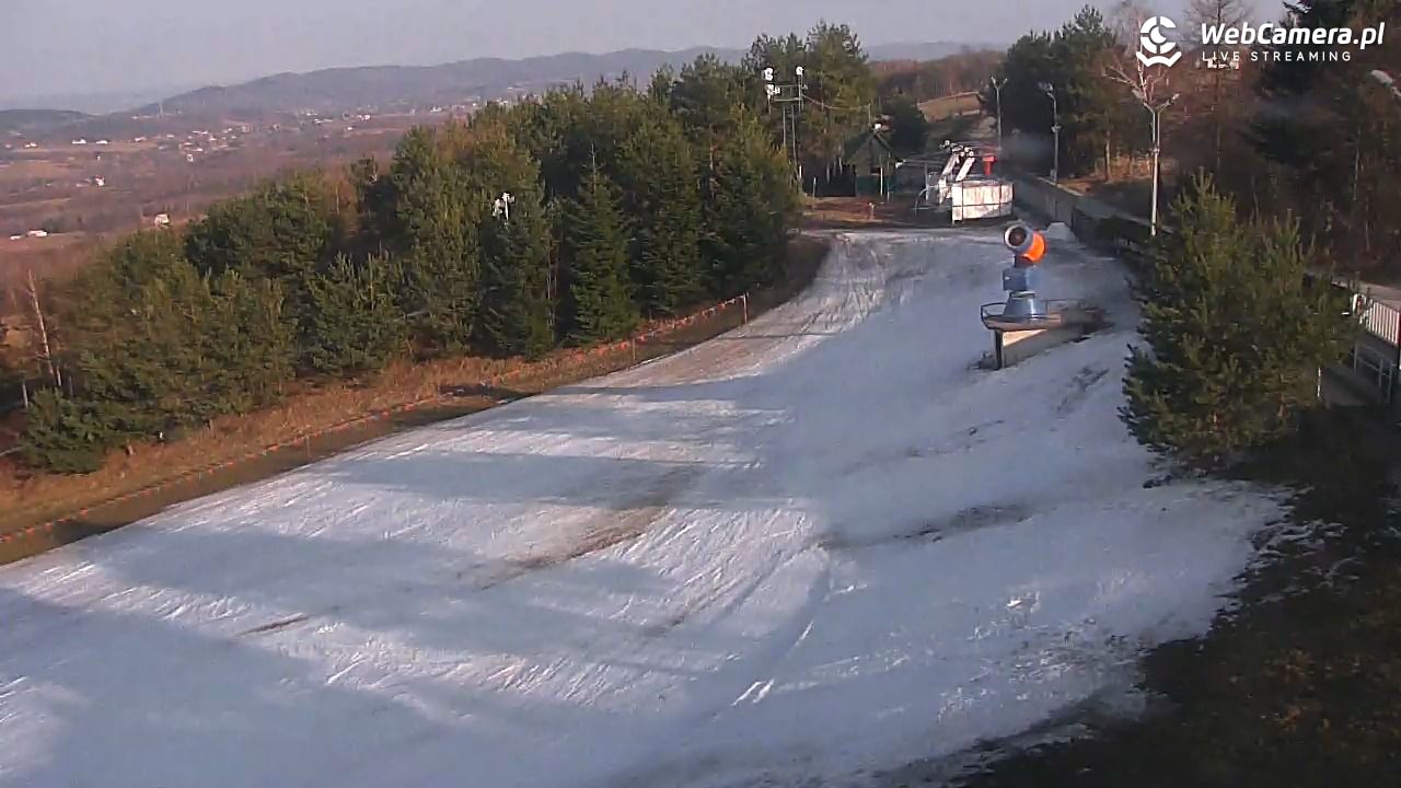 Gogołów Pod Dziedzicem - widok na stok - 01 marzec 2026, 15:18