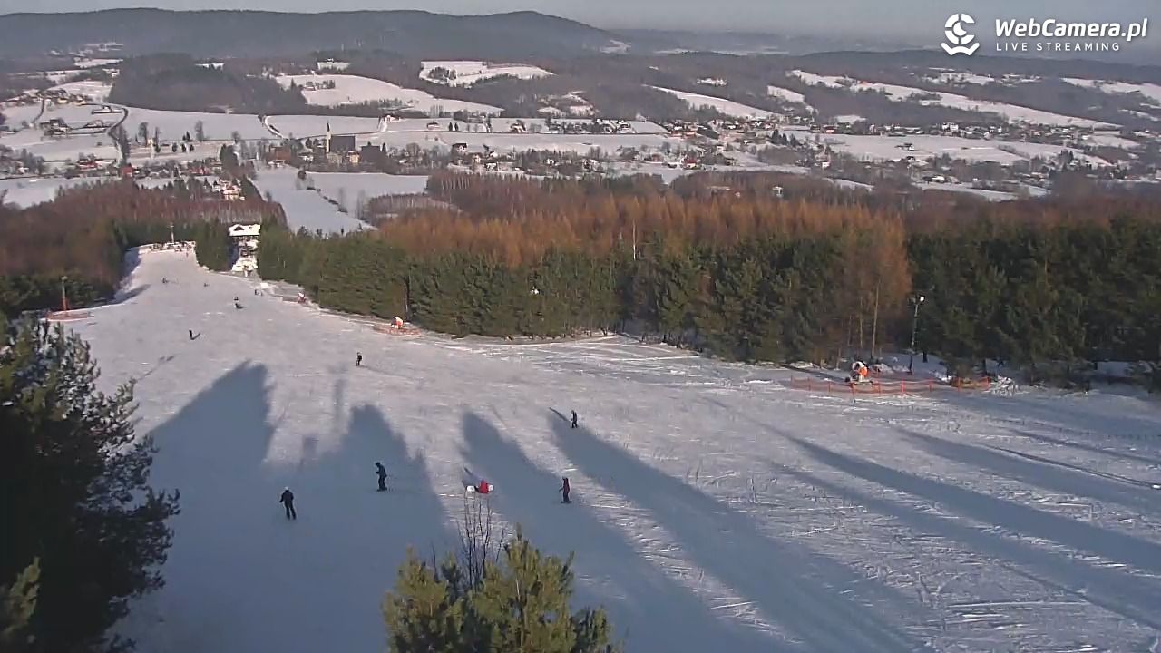 Gogołów Pod Dziedzicem - widok na stok - 17 styczeń 2026, 13:09