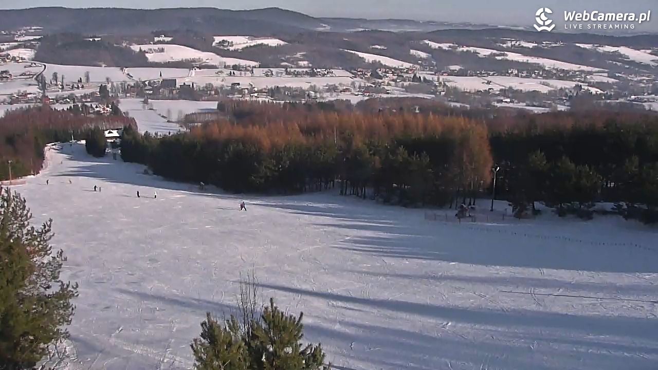 Gogołów Pod Dziedzicem - widok na stok - 17 styczeń 2026, 10:35
