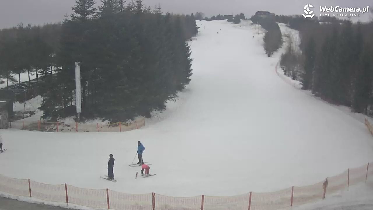 Gogołów Pod Dziedzicem - widok na stok - 28 styczeń 2026, 16:25