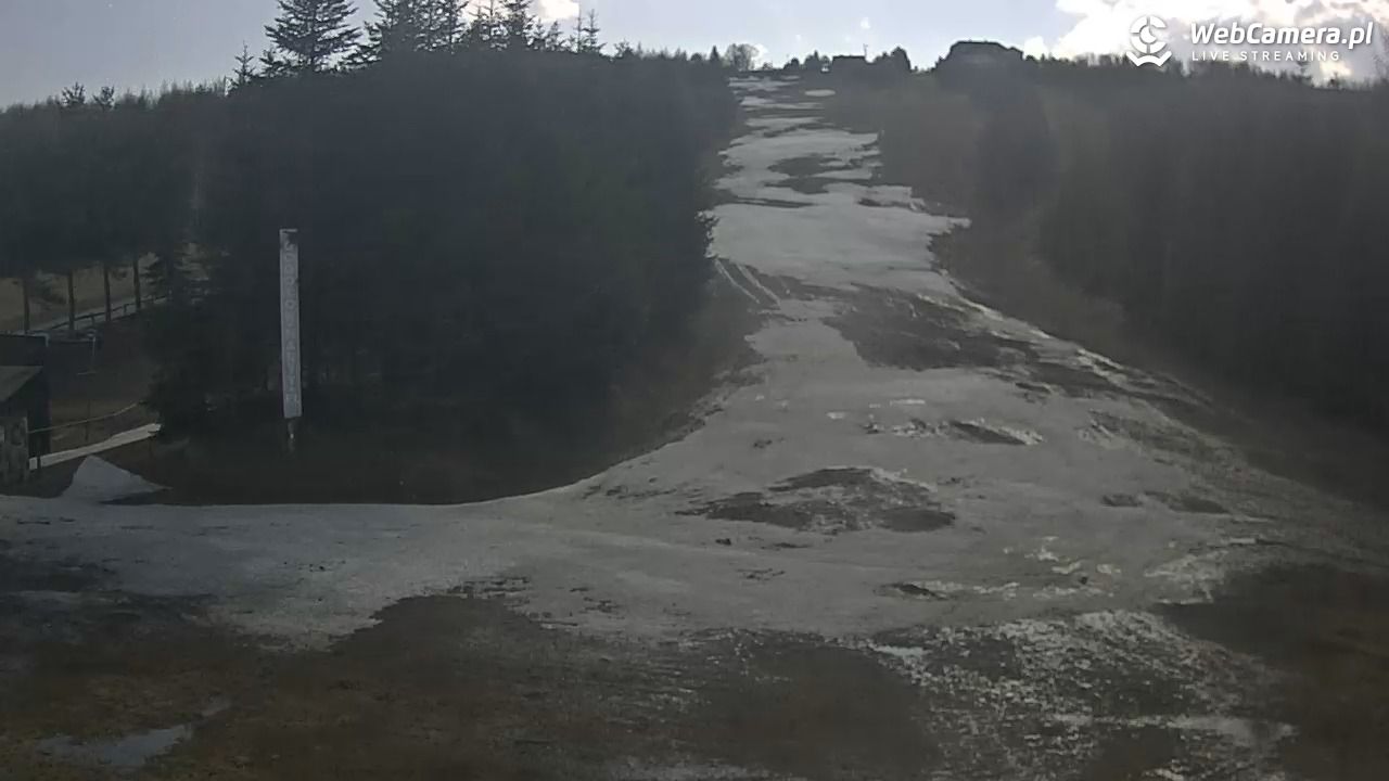 Gogołów Pod Dziedzicem - widok na stok - 13 marzec 2026, 12:57