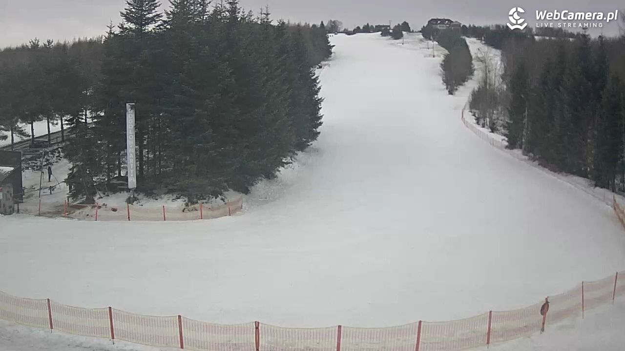 Gogołów Pod Dziedzicem - widok na stok - 26 styczeń 2026, 11:13