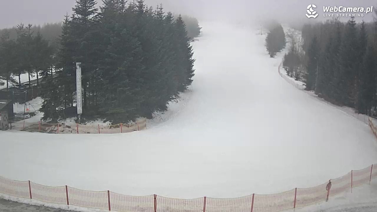 Gogołów Pod Dziedzicem - widok na stok - 29 styczeń 2026, 12:28