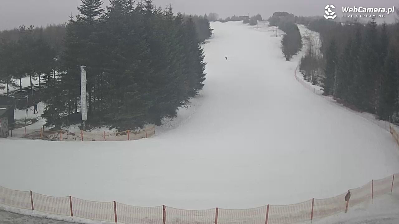 Gogołów Pod Dziedzicem - widok na stok - 30 styczeń 2026, 13:37