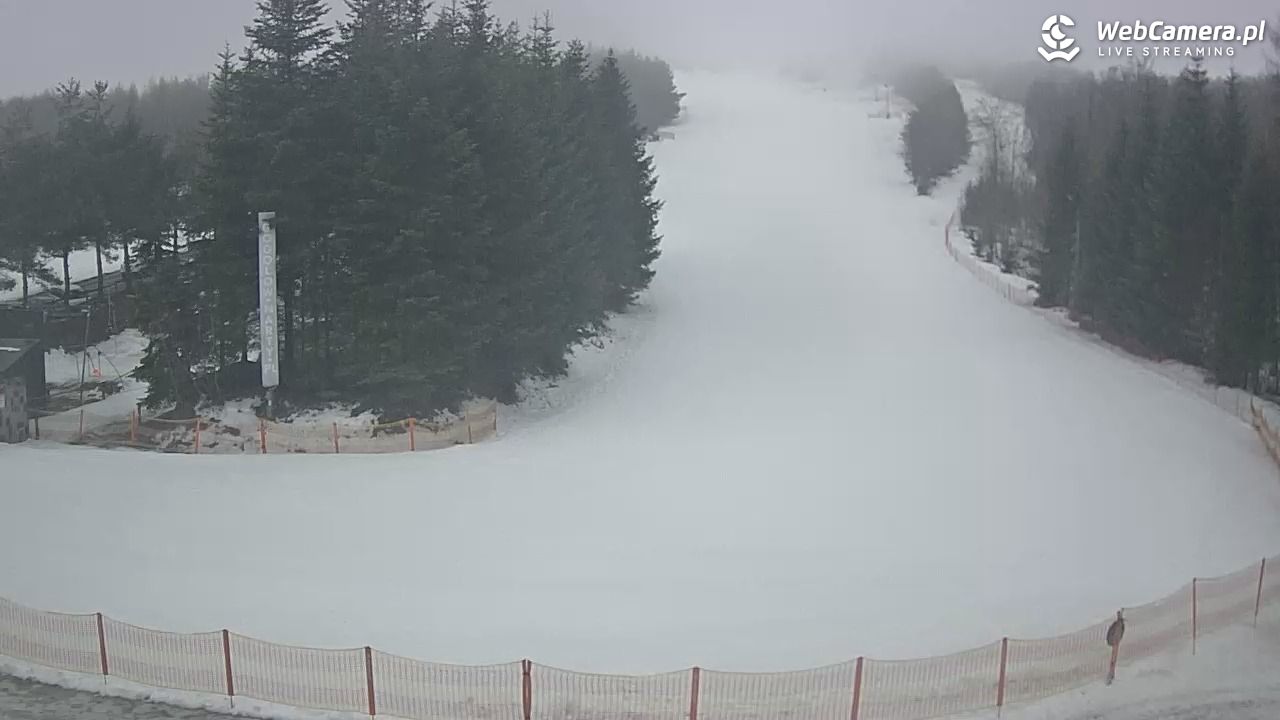 Gogołów Pod Dziedzicem - widok na stok - 29 styczeń 2026, 14:26