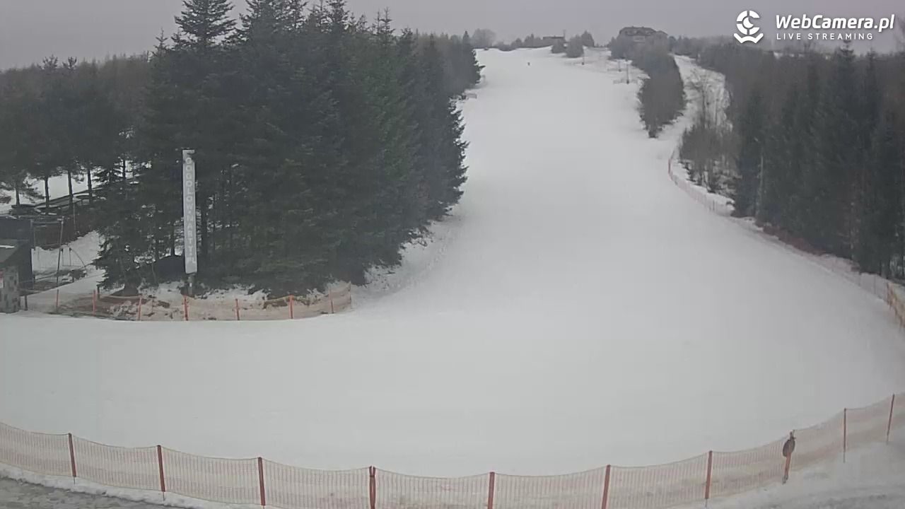 Gogołów Pod Dziedzicem - widok na stok - 30 styczeń 2026, 12:27
