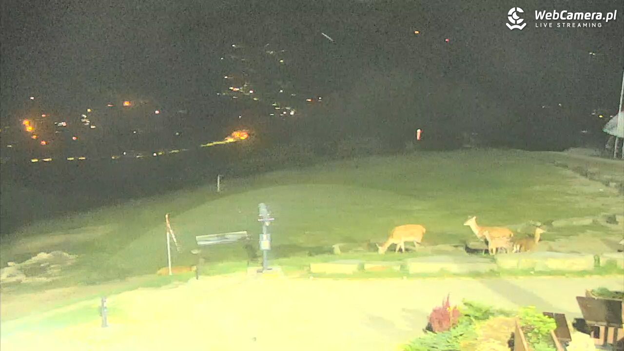 Góra ŻAR - Beskid Mały - 17 czerwiec 2026, 23:26