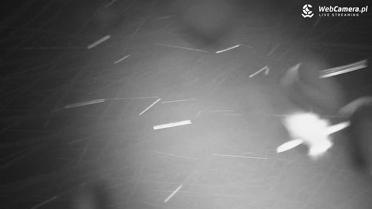 Góra Żar - widok panoramiczny na Beskidy - 17 listopad 2025, 18:26