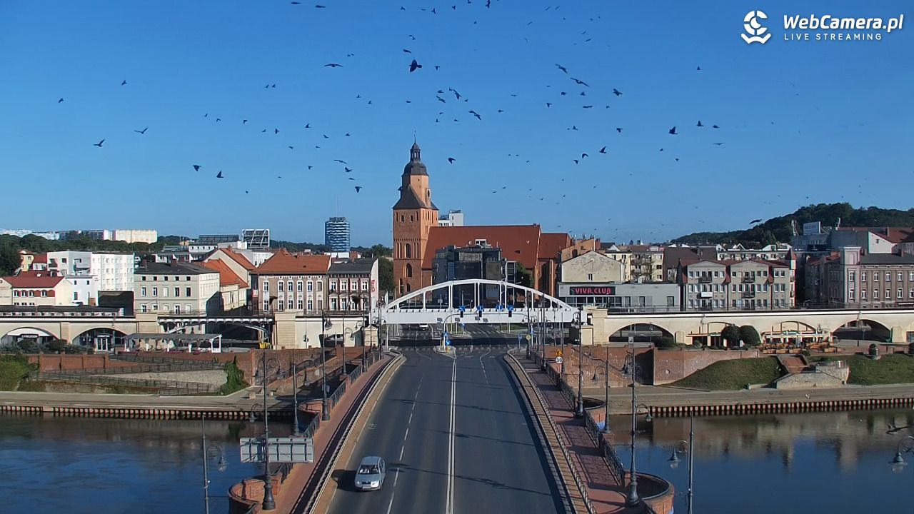 Gorzów Wielkopolski - 17 sierpień 2025, 08:33