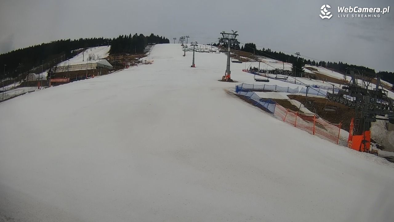 Zieleniec Sport Arena - Gryglówka - 10 marzec 2026, 07:38