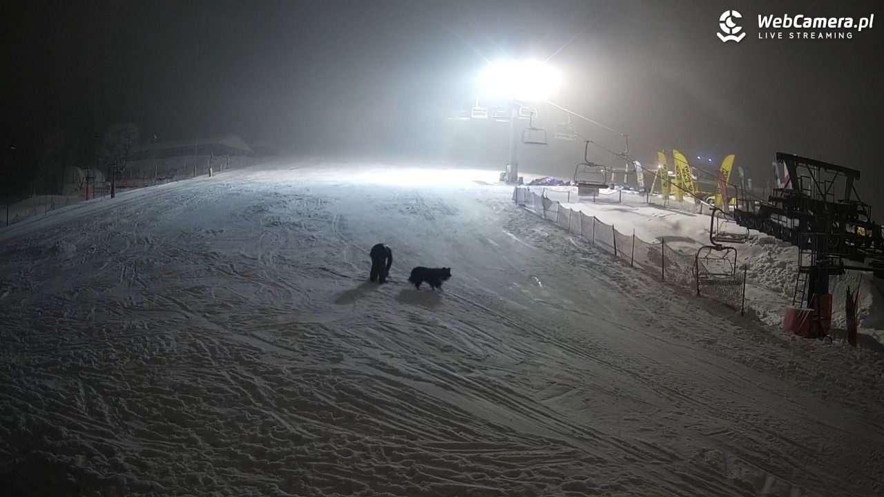 Zieleniec Sport Arena - Gryglówka - 24 styczeń 2026, 20:59