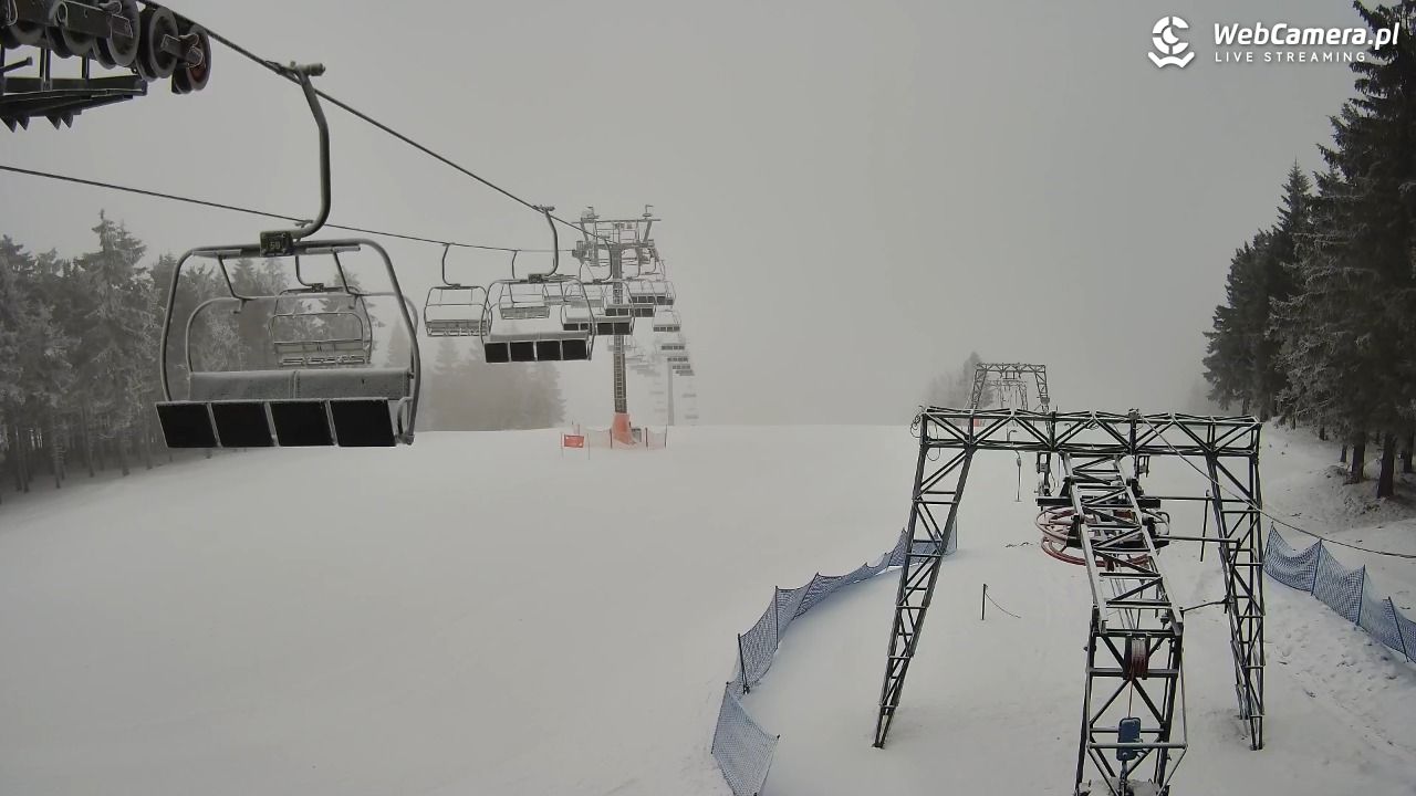 Grapa Zieleniec kolej G10 - 24 styczeń 2026, 09:00