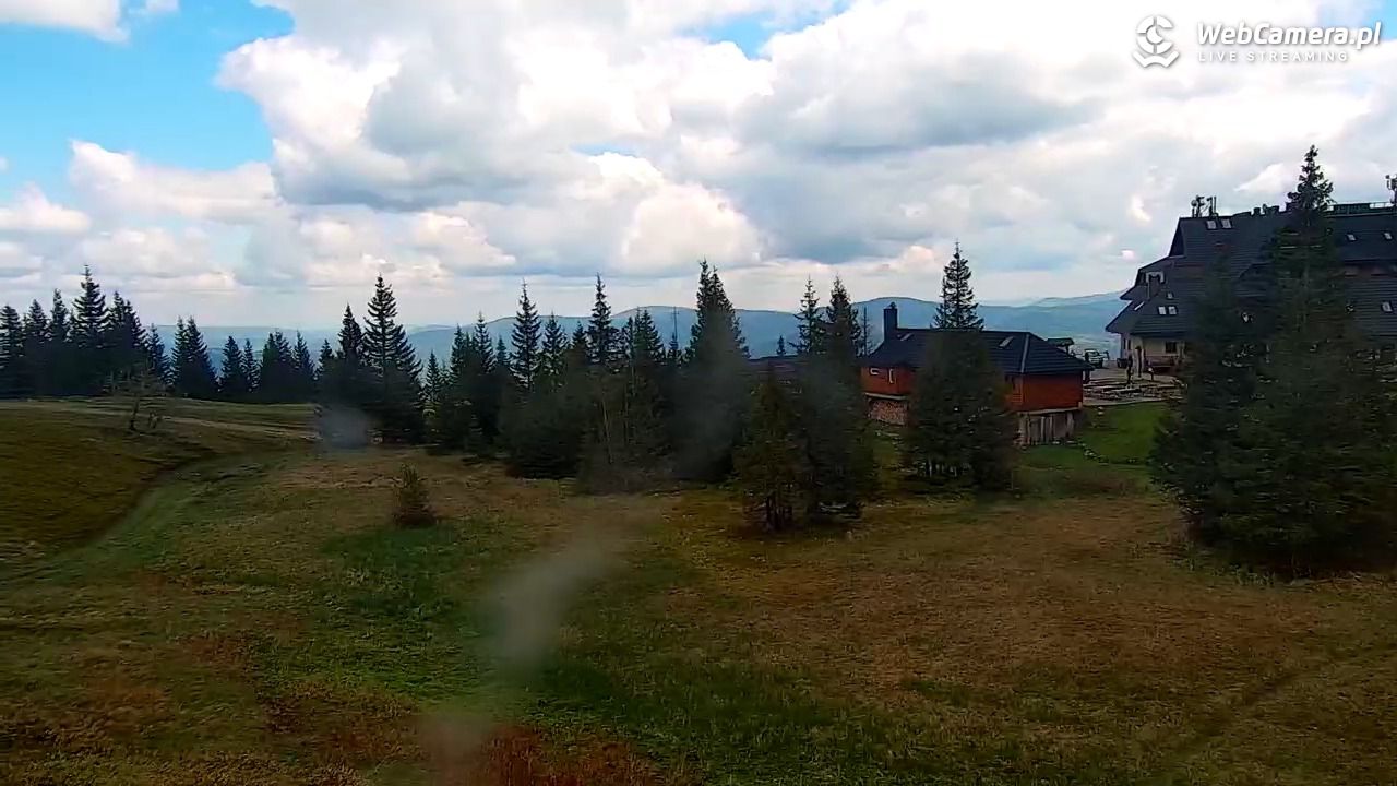 Hala Miziowa - NOWOŚĆ - 12 maj 2025, 10:51