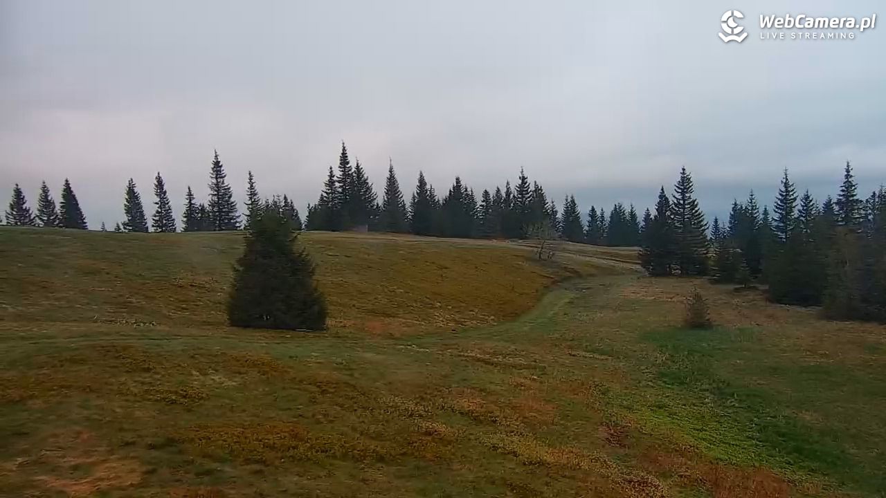 Hala Miziowa - NOWOŚĆ - 16 maj 2025, 20:04