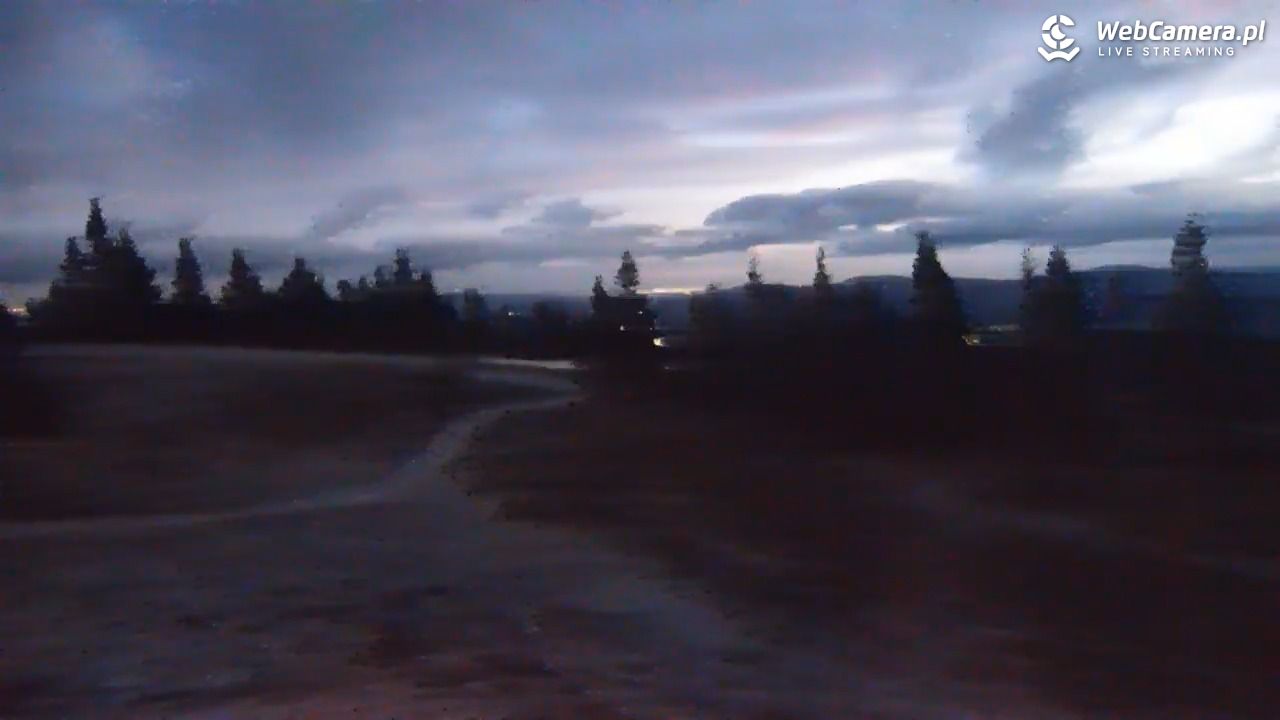 Hala Miziowa - NOWOŚĆ - 27 październik 2025, 05:32