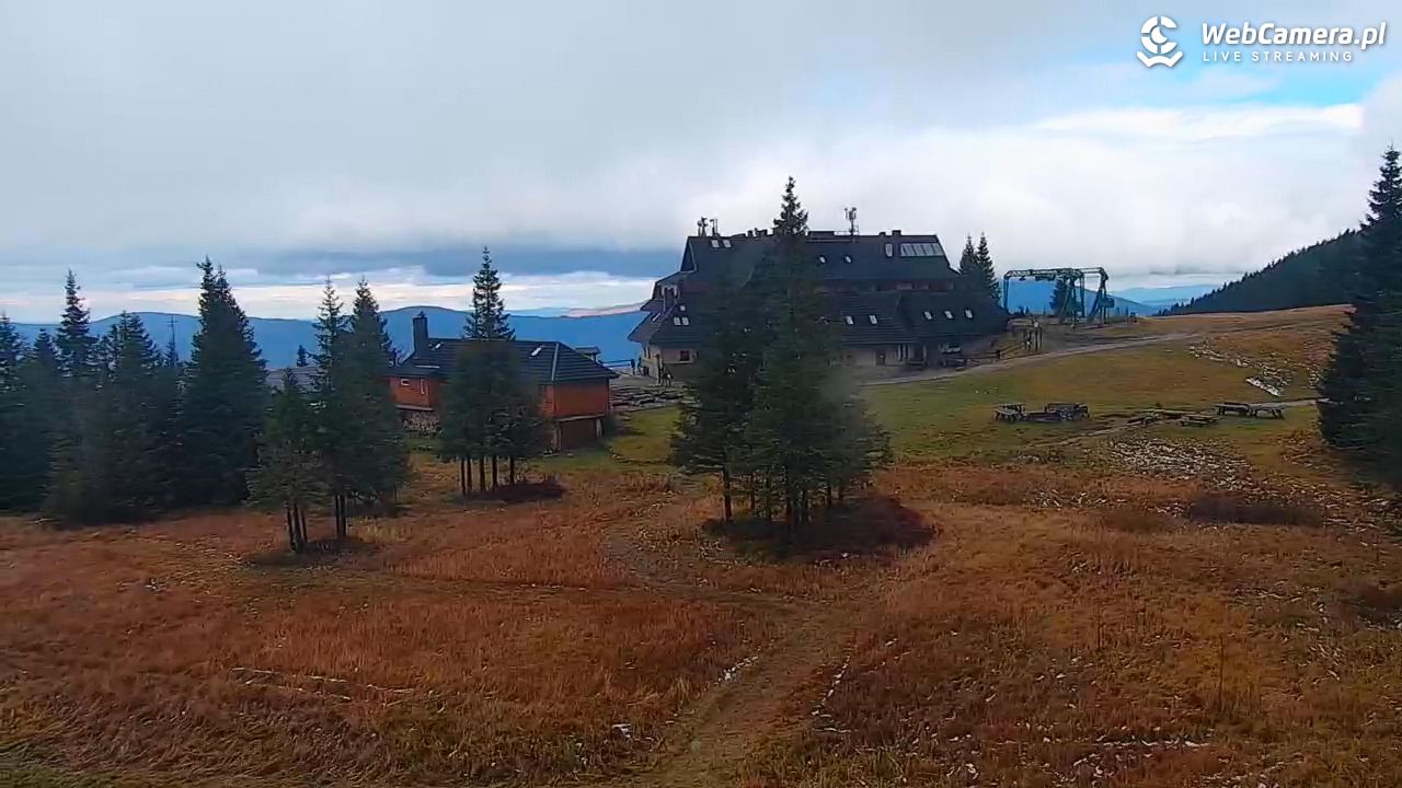 Hala Miziowa - NOWOŚĆ - 26 październik 2025, 12:49