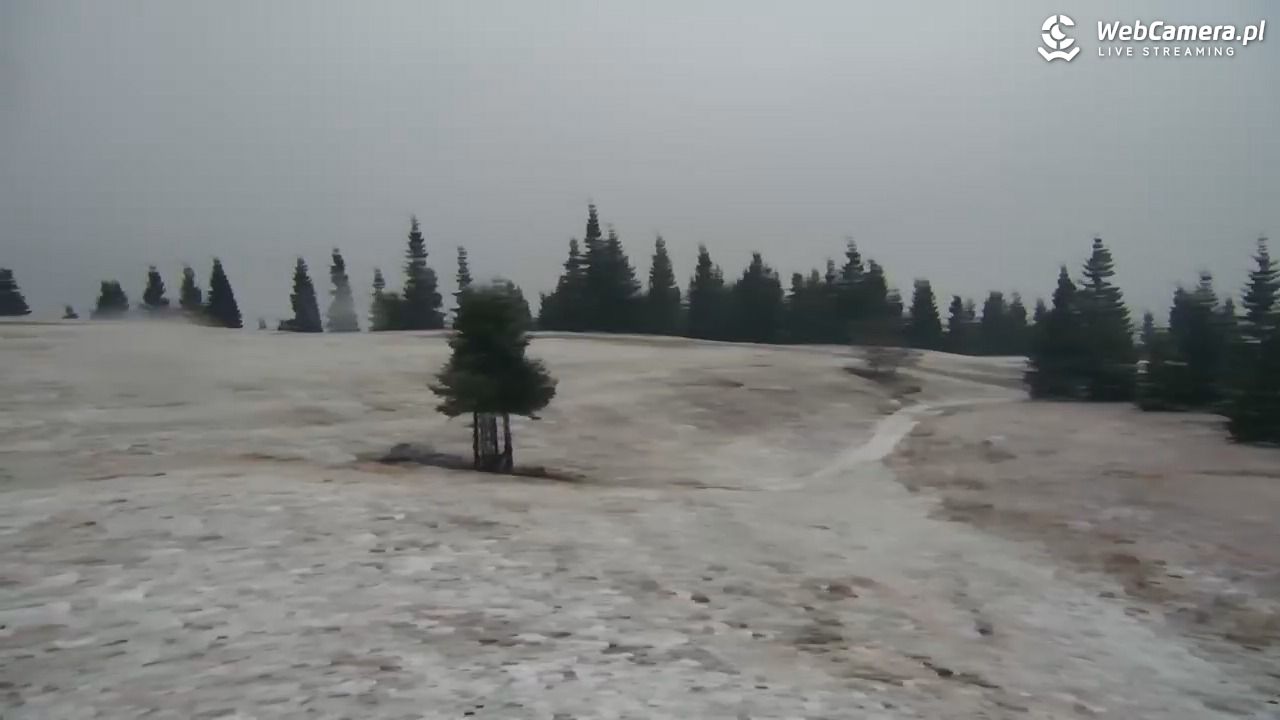 Hala Miziowa - NOWOŚĆ - 24 październik 2025, 07:20