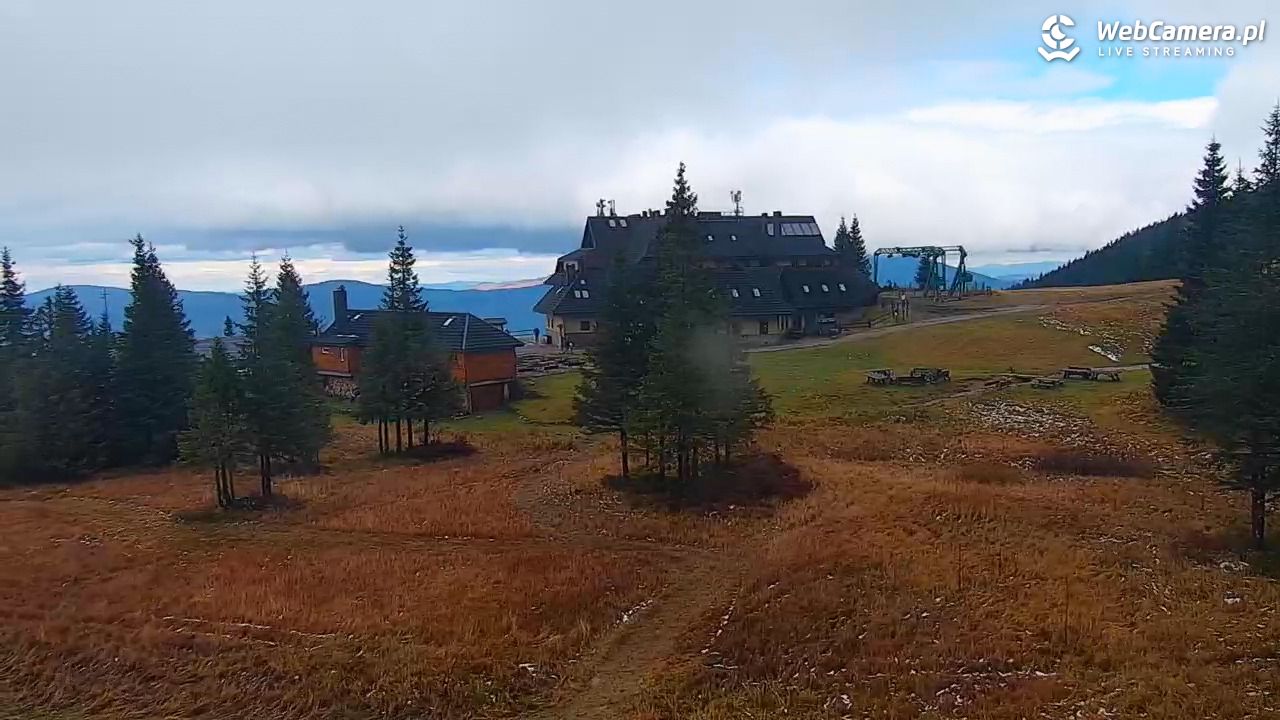 Hala Miziowa - NOWOŚĆ - 26 październik 2025, 12:48