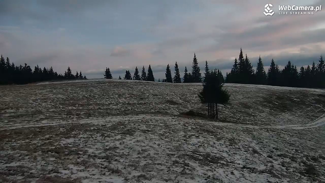 Hala Miziowa - NOWOŚĆ - 27 październik 2025, 05:52