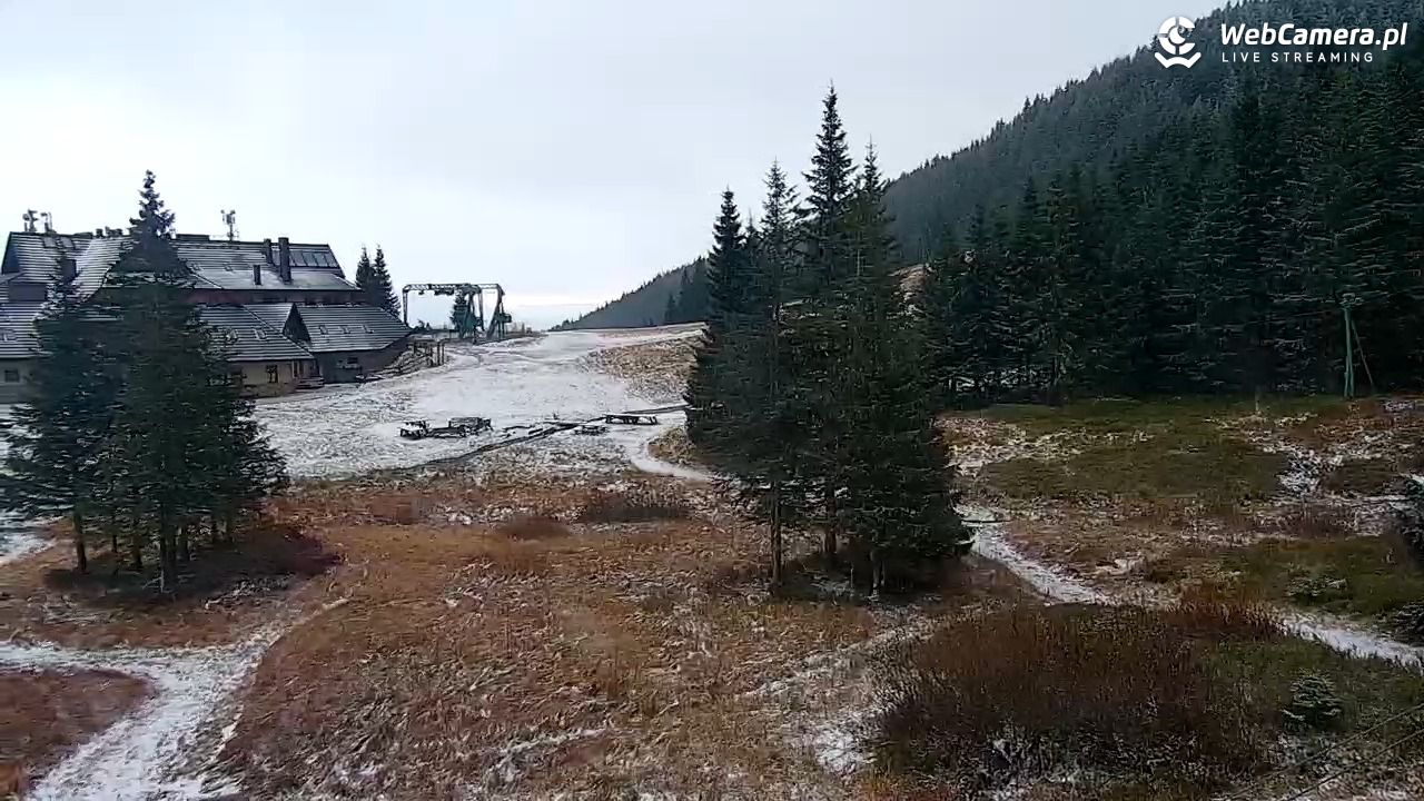 Hala Miziowa - NOWOŚĆ - 27 październik 2025, 07:50