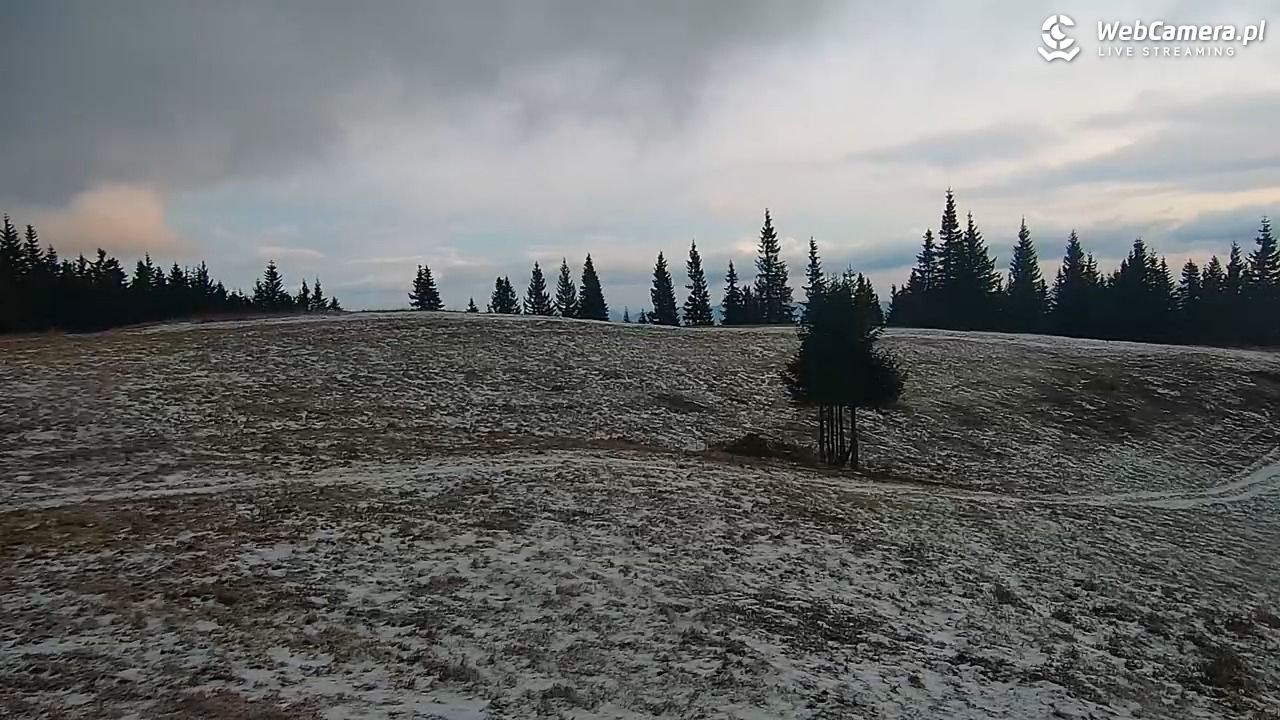 Hala Miziowa - NOWOŚĆ - 27 październik 2025, 06:03