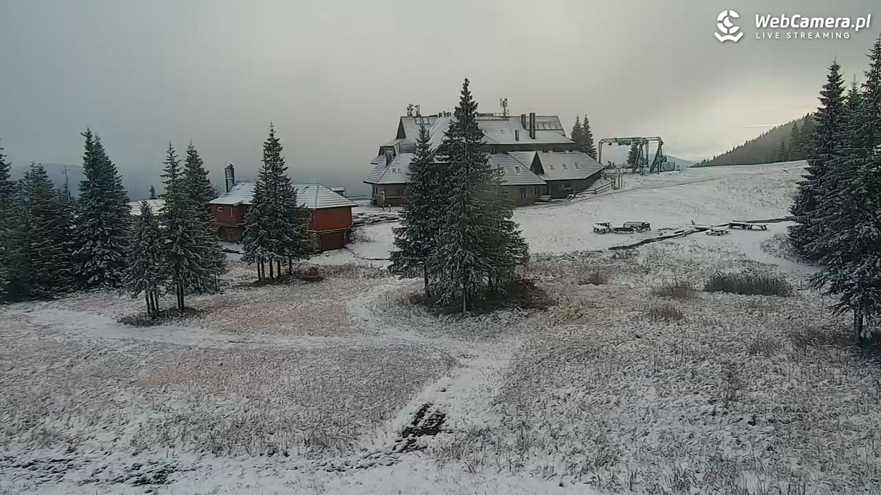 Hala Miziowa - NOWOŚĆ - 25 październik 2025, 08:53