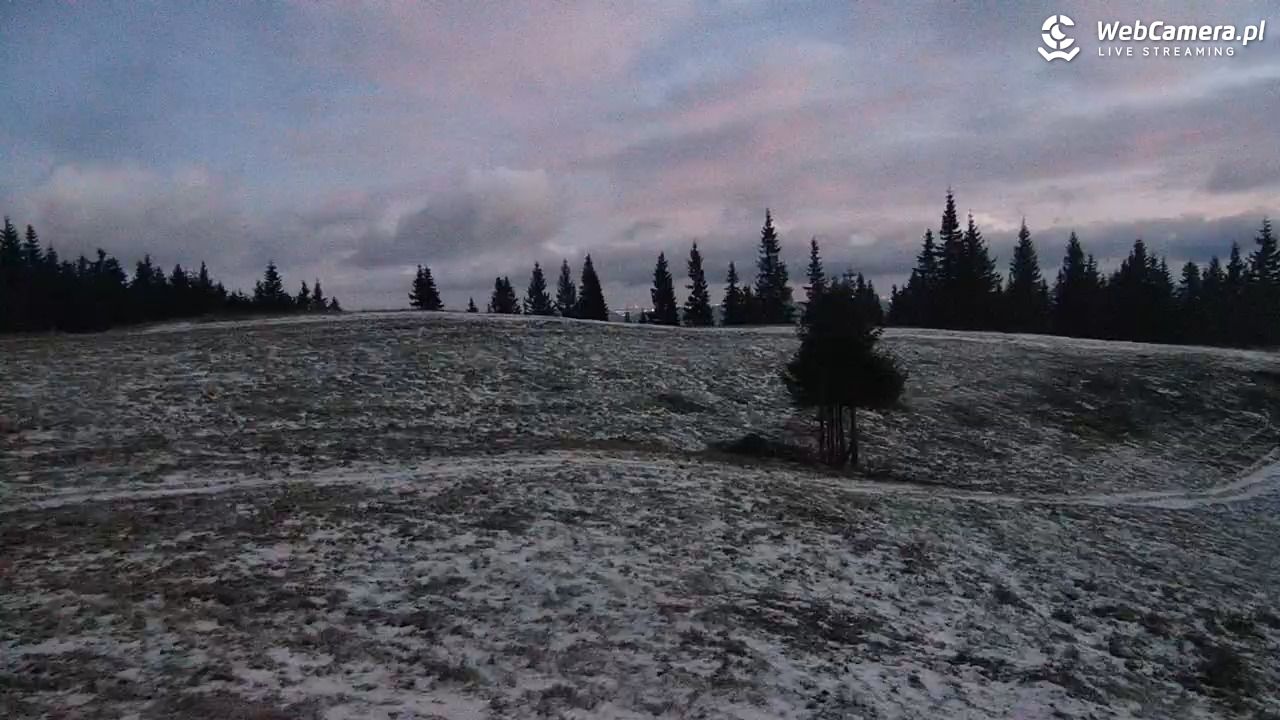 Hala Miziowa - NOWOŚĆ - 27 październik 2025, 05:41