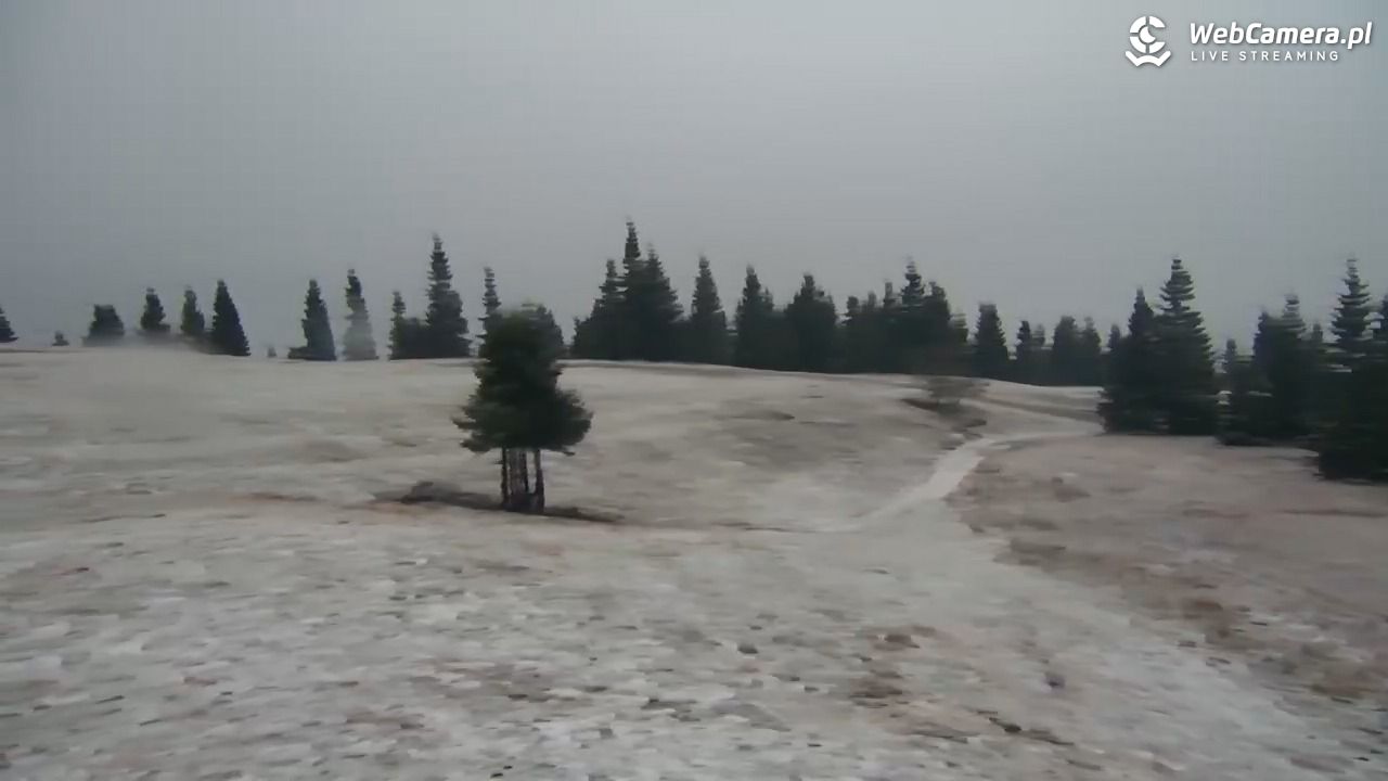 Hala Miziowa - NOWOŚĆ - 24 październik 2025, 07:20