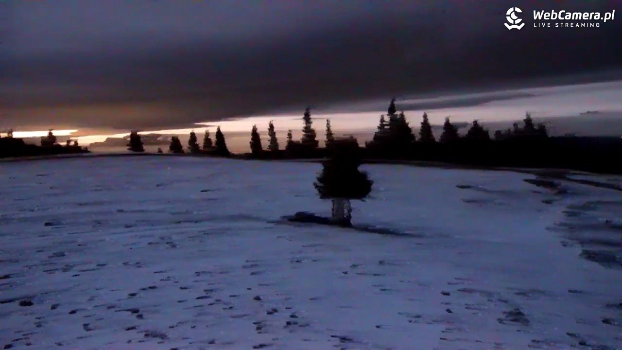 Hala Miziowa - NOWOŚĆ - 25 październik 2025, 18:14