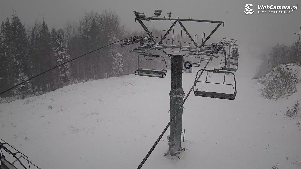 HENRYK - Ski Krynica centrum - 21 listopad 2025, 11:24