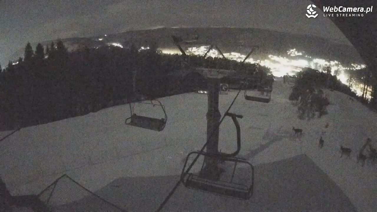 HENRYK - Ski Krynica centrum - 23 luty 2026, 20:49