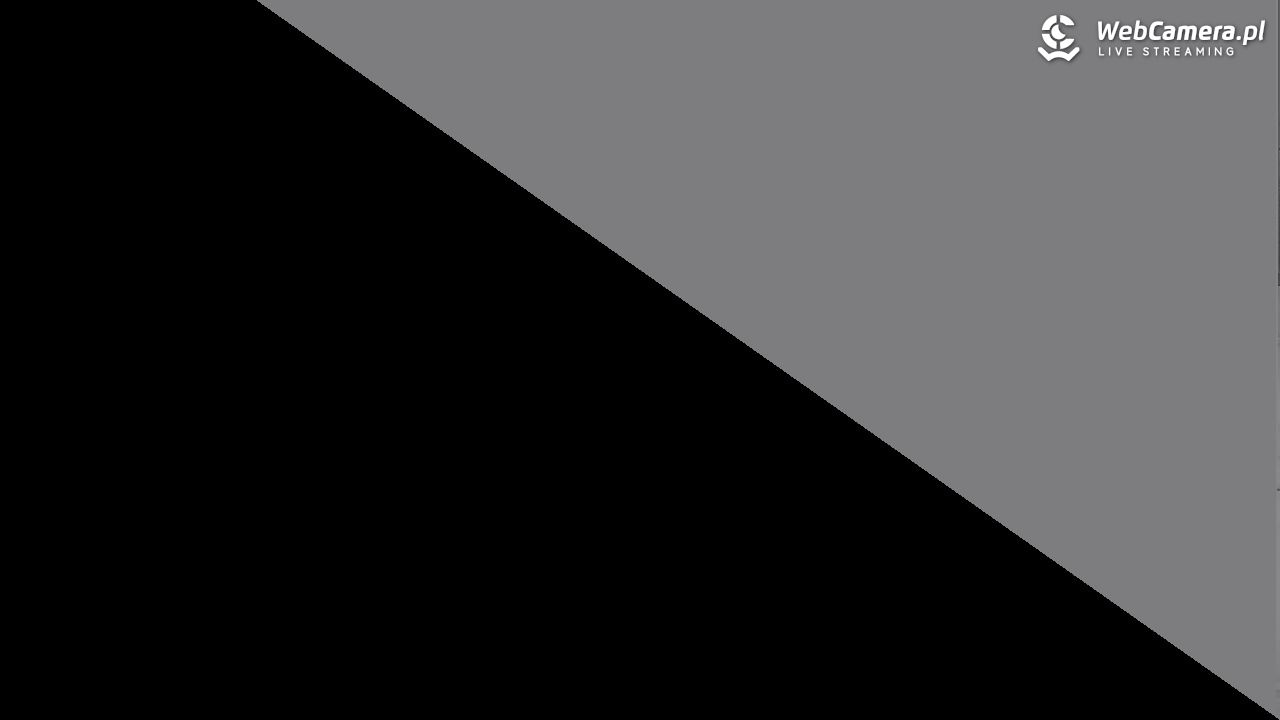 HENRYK - Ski Krynica centrum - 22 listopad 2025, 13:44