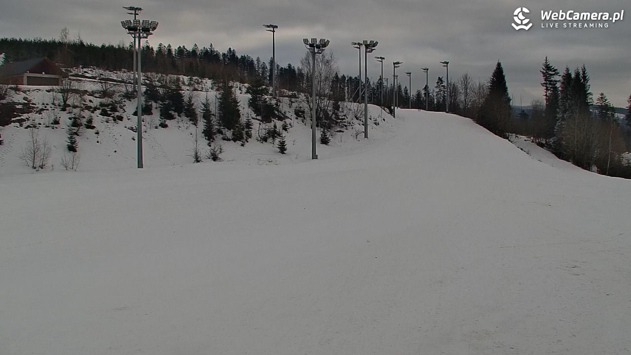 COS Istebna - Kubalonka Trasy Biegowe - 03 luty 2026, 09:22