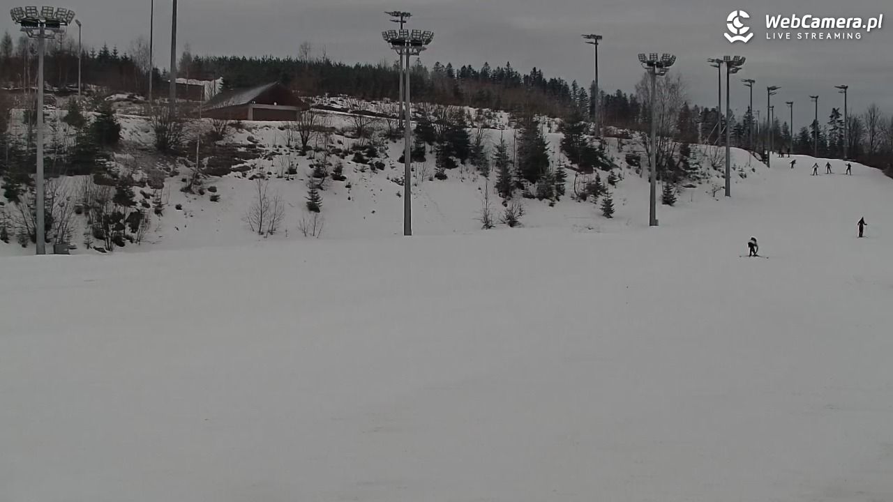 COS Istebna - Kubalonka Trasy Biegowe - 02 luty 2026, 12:22