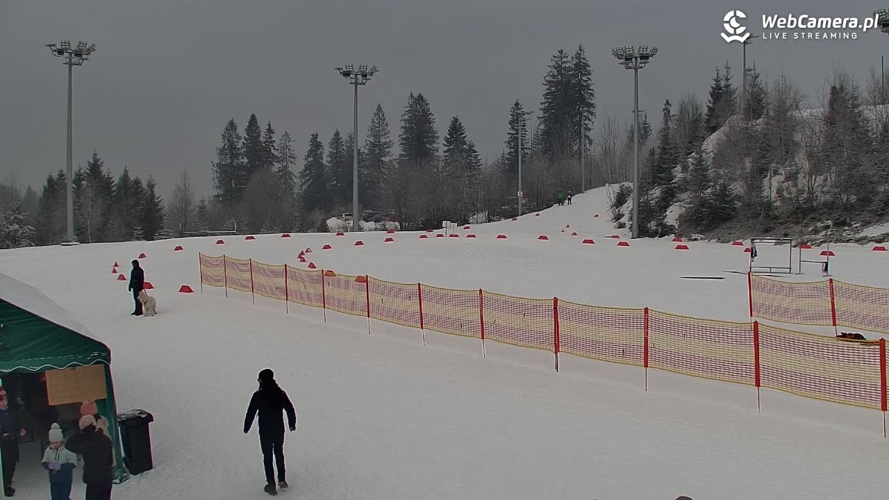COS Istebna - Kubalonka Trasy Biegowe - 01 luty 2026, 10:51