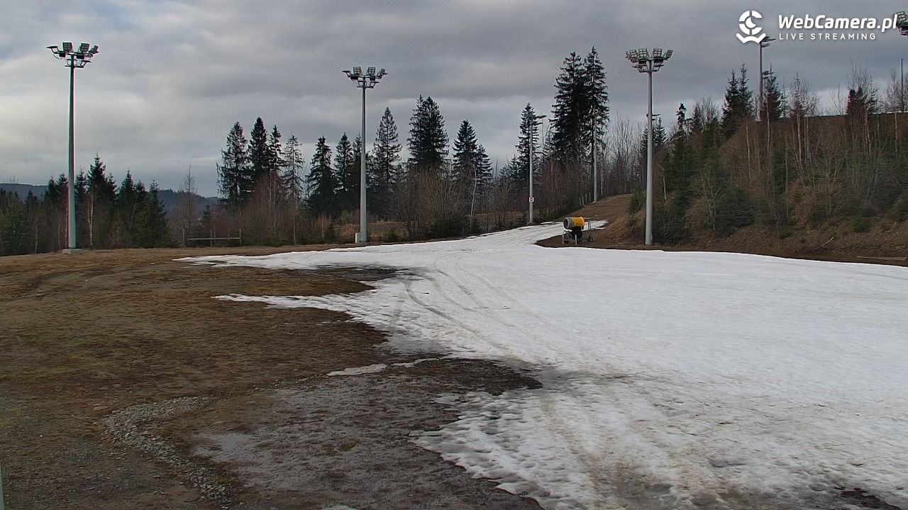 COS Istebna - Kubalonka Trasy Biegowe - 21 grudzień 2025, 13:19